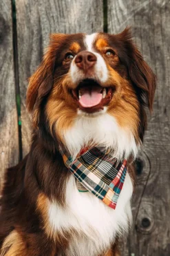 Hyannis Patchwork Madras Bandana