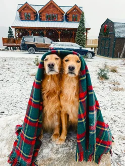 The Manchester Tartan Blanket
