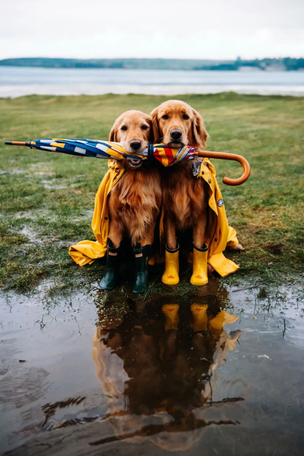 The Maritime Umbrella
